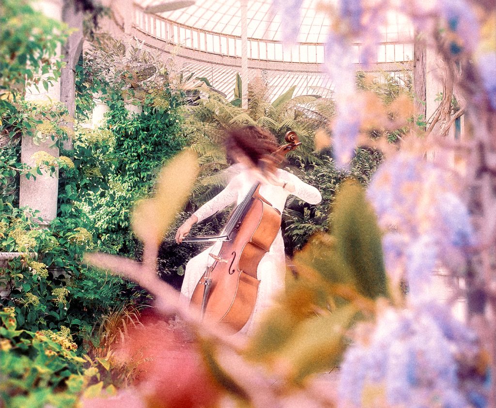 332 Human Cello Stories